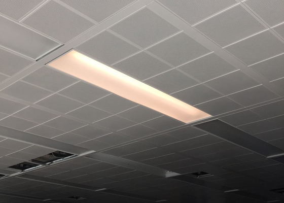 1' ×1 'オフィス ビルのための天井の白い色のパーホレーションΦ2.3クリップ
