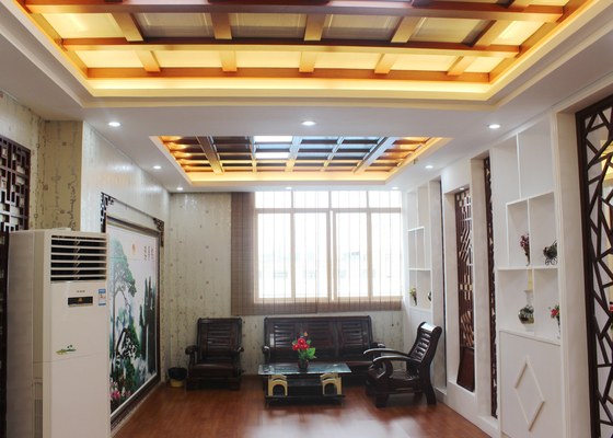 家の装飾、SONCAP のための特別な Arabesquitic の功妙な天井のタイル