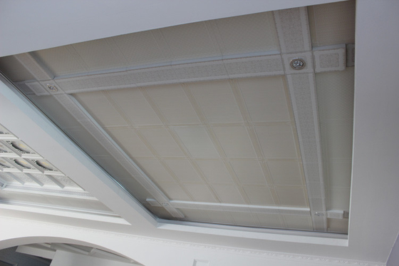 健全な証拠の功妙な天井のタイル、独特なアルミニウム天井板