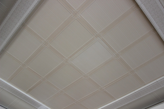 健全な証拠の功妙な天井のタイル、独特なアルミニウム天井板